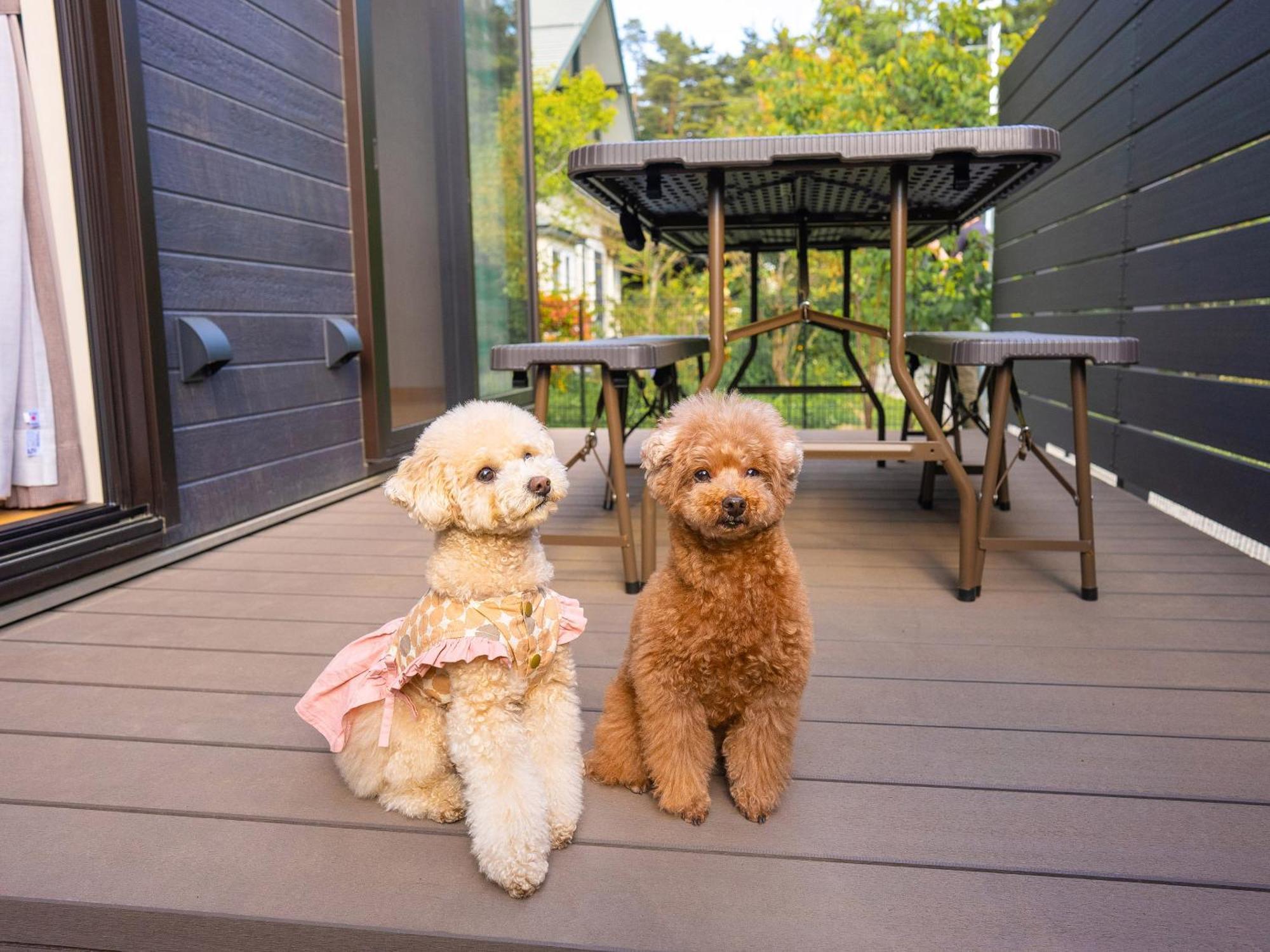 Rakuten Stay Villa Yatsugatake 北杜市 エクステリア 写真