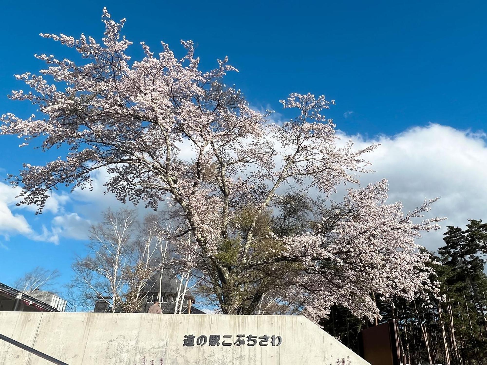 Rakuten Stay Villa Yatsugatake 北杜市 エクステリア 写真