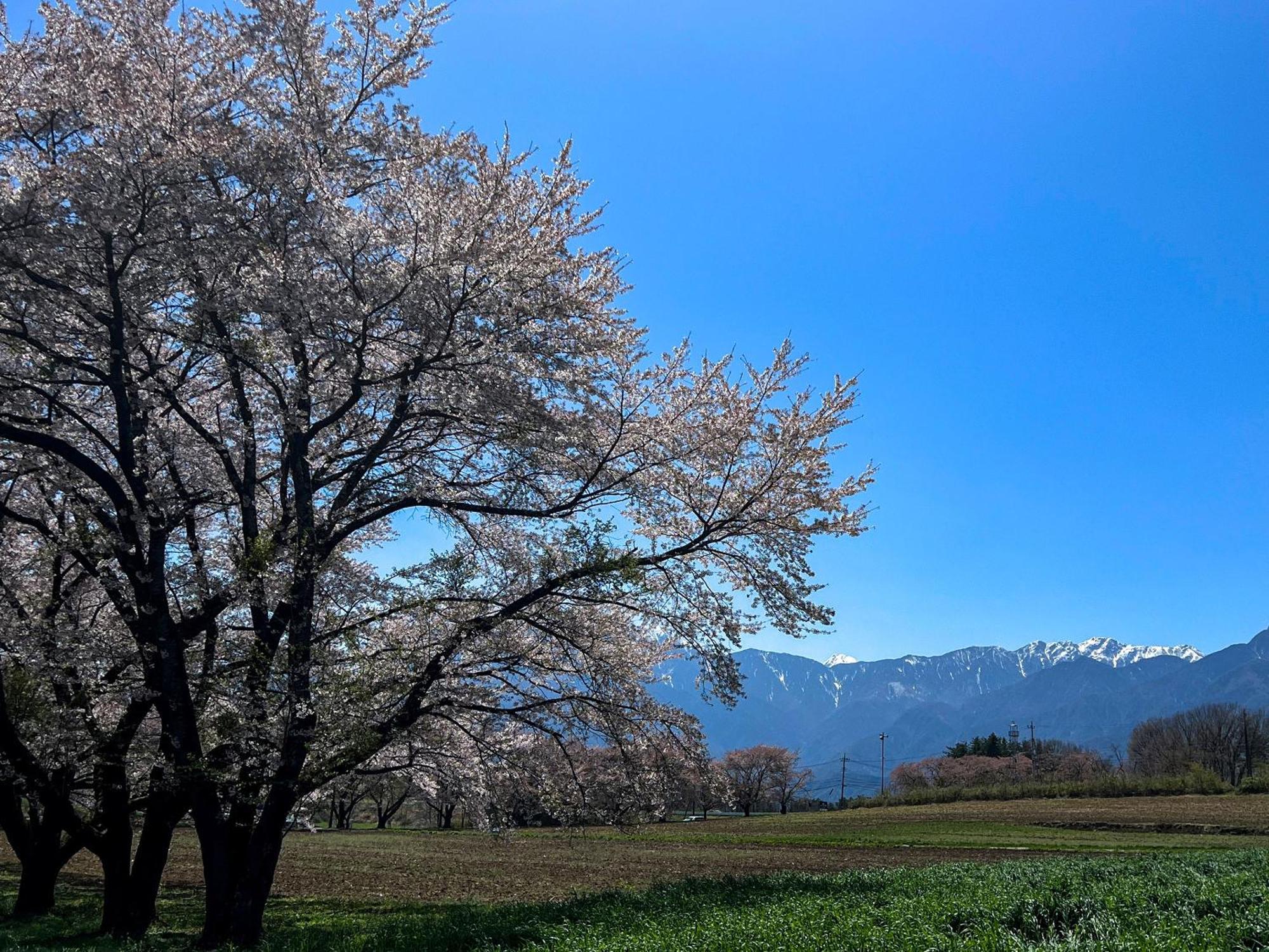 Rakuten Stay Villa Yatsugatake 北杜市 エクステリア 写真